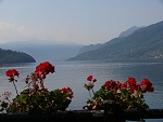 widok na jezioro z Domaso