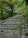 Szlak do Baggio