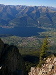 Samotny modrzew przy szlaku na Monte Legnone